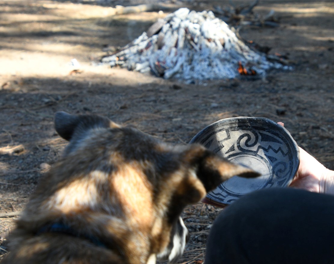 Dog looking at empty ancient pottery bowl